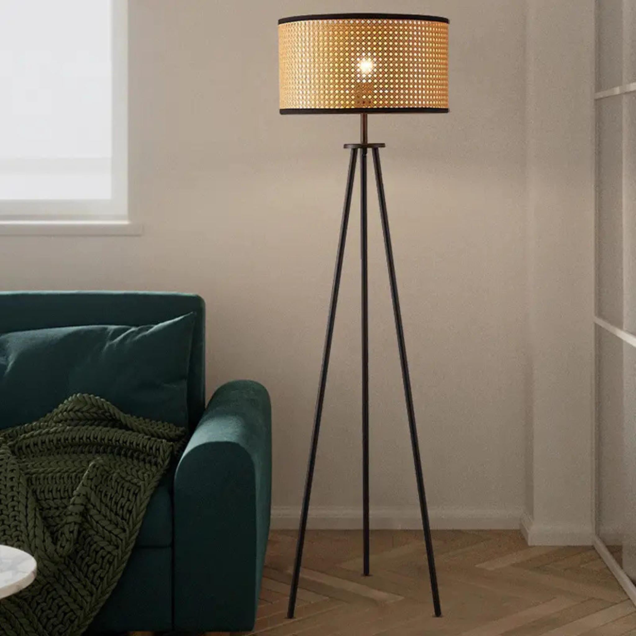 Cane Webbing Floor Lamp With Metal LP-50